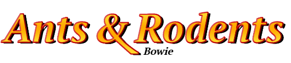 Bowie Ant Exterminator & Rodent Control Company Logo